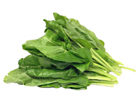 Bietola a Foglia