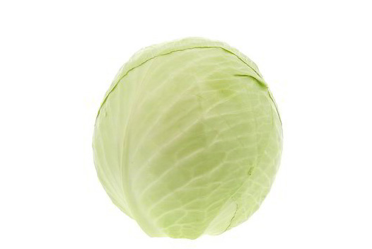 Cavolo Cappuccio Bianco