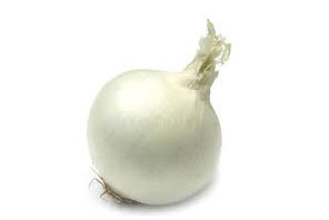 Cipolla