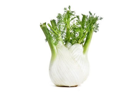 Finocchio