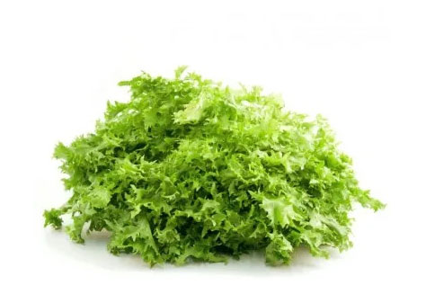 Invidia Riccia