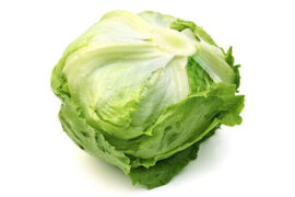 Lattuga Iceberg