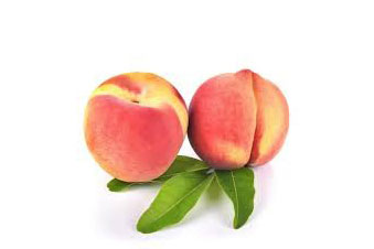 Pesche