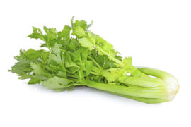 Sedano