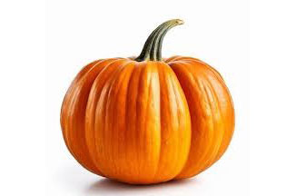 Zucca